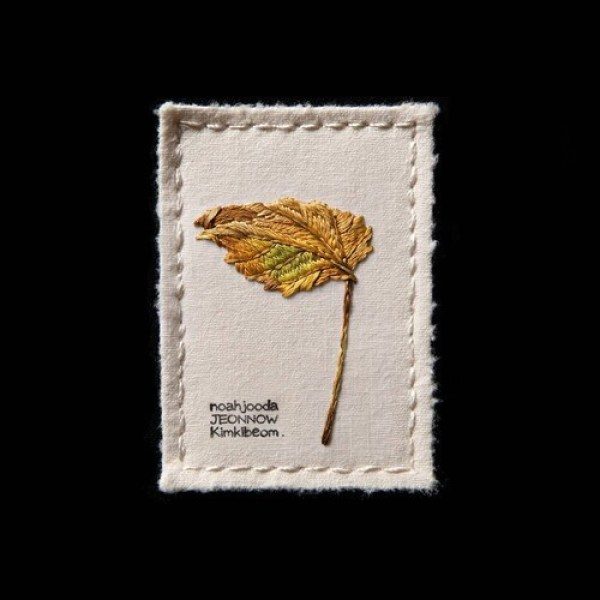 낙엽비